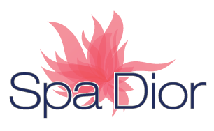 Spa_Dior_Logo(Navy_Blue)